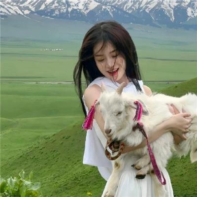 军犬麦克斯2：白宫英雄